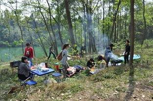 浙江野炊露营爆料案件最新,揭秘山林神秘事件真相揭晓